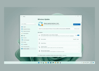 Windows 11 yapı 22621.1992 (KB5028185) 22H2 sürümü için çıktı.
