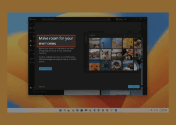 Windows 11’den resimlerden metin nasıl çıkarılır