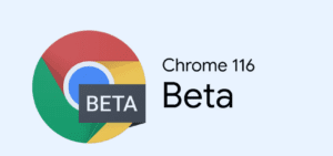 Google Chrome 116 sürümü: Tek seferlik site izinleri