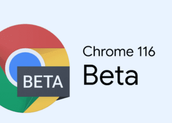 Google Chrome 116 sürümü: Tek seferlik site izinleri
