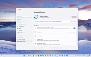 Windows 11 yapı 22631.2199 (KB5029352) Beta Kanalında kullanıma sunuluyor