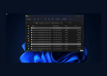 Windows 11 veya 10’da mpcache Dosyaları Nasıl Silinir?