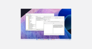 Windows 11 23H2’ye yükseltmek için koruma bloğu nasıl devre dışı bırakılır