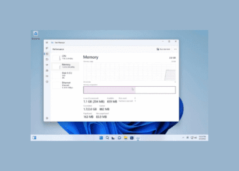 Windows 11 23H2 Tiny11 ISO ile USB’den Kurulum İçin Hazır