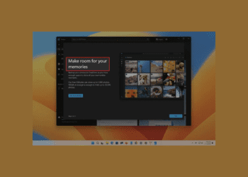 Windows 11’de resimlerden metin nasıl çıkarılır