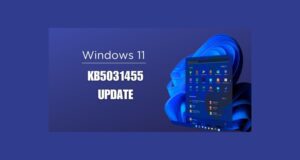 23H2 için Windows 11 KB5031455 sorunlara neden oluyor