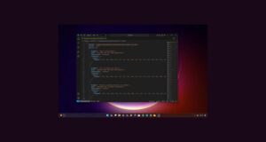 AB Kullanıcıları için Windows 11 ve 10’da JSON Dosya Denetimi Özelliklerini Etkinleştirme