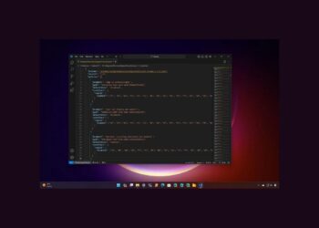 AB Kullanıcıları için Windows 11 ve 10’da JSON Dosya Denetimi Özelliklerini Etkinleştirme