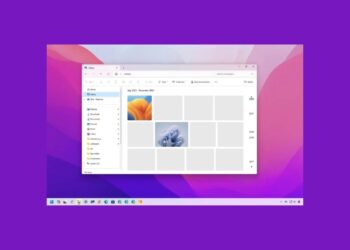 Windows 11’de Dosya Gezgini’nde Resim ve Videolar İçin Galeri Görünümü Nasıl Etkinleştirilir