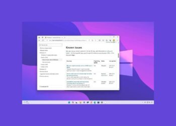 Windows 11 23H2 Güncellemesini Engelleyen Bilinen Sorunlar
