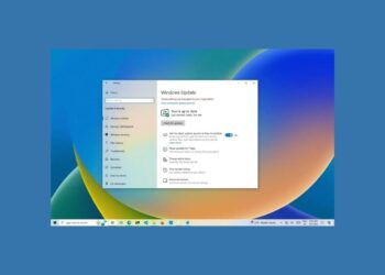 Windows 10 Güncellemelerini Devre Dışı Bırakma