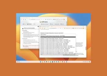 Windows 11 24H2 Deneyin! ISO Dosyası ve USB Kurulumu Rehberi (Dikkat: Önizleme!)