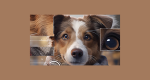 Yapay Zeka ile Video ve Görselleri Geliştirin: VideoProc Converter AI (2024)