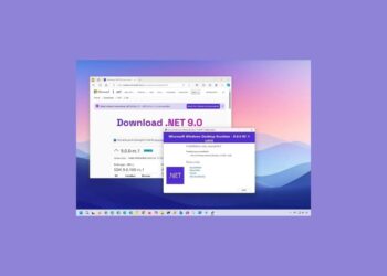 En son .NET 9 sürümü Windows 11, 10’a nasıl yüklenir