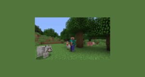 Minecraft’ta nasıl ışınlanılır