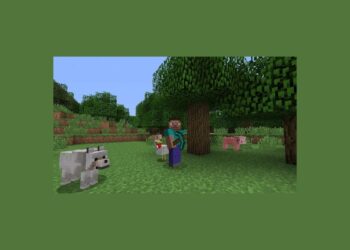 Minecraft’ta nasıl ışınlanılır
