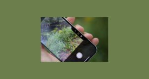 iPhone 16’nızın Kamera Kontrolünü özelleştirebileceğinizi biliyor muydunuz? İşte nasıl yapılacağı