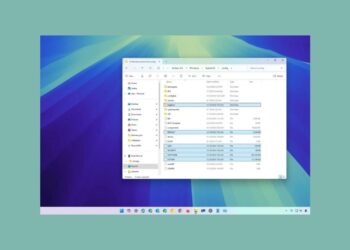 Windows 11, 10’da gizli yedeklemeden Kayıt Defteri nasıl geri yüklenir