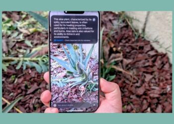 iOS 18.2 ile iPhone’unuzda Görsel Zeka nasıl kullanılır?