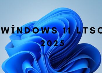2025’te Windows 11 LTSC Nasıl Kurulur?