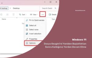 Windows 11’de Dosya Gezgini’ni Yeniden Başlattıktan Sonra Kaldığınız Yerden Devam Etme